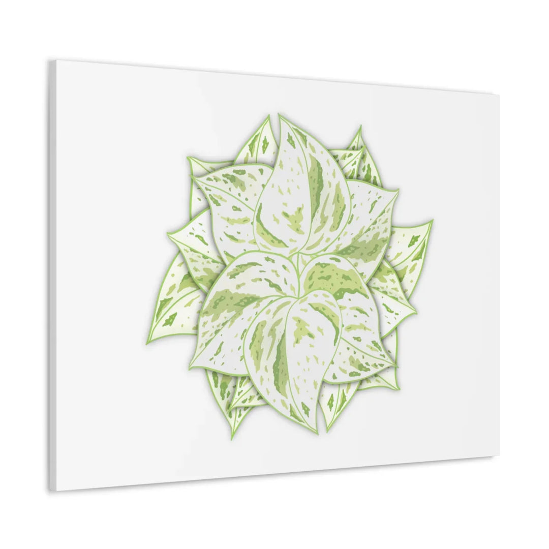 Snow Queen Pothos Canvas – Variegated Leaf Canvas Art Print | Durable Cotton - Laura Christine Photography & Design