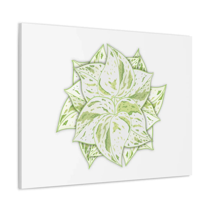 Snow Queen Pothos Canvas – Variegated Leaf Canvas Art Print | Durable Cotton - Laura Christine Photography & Design