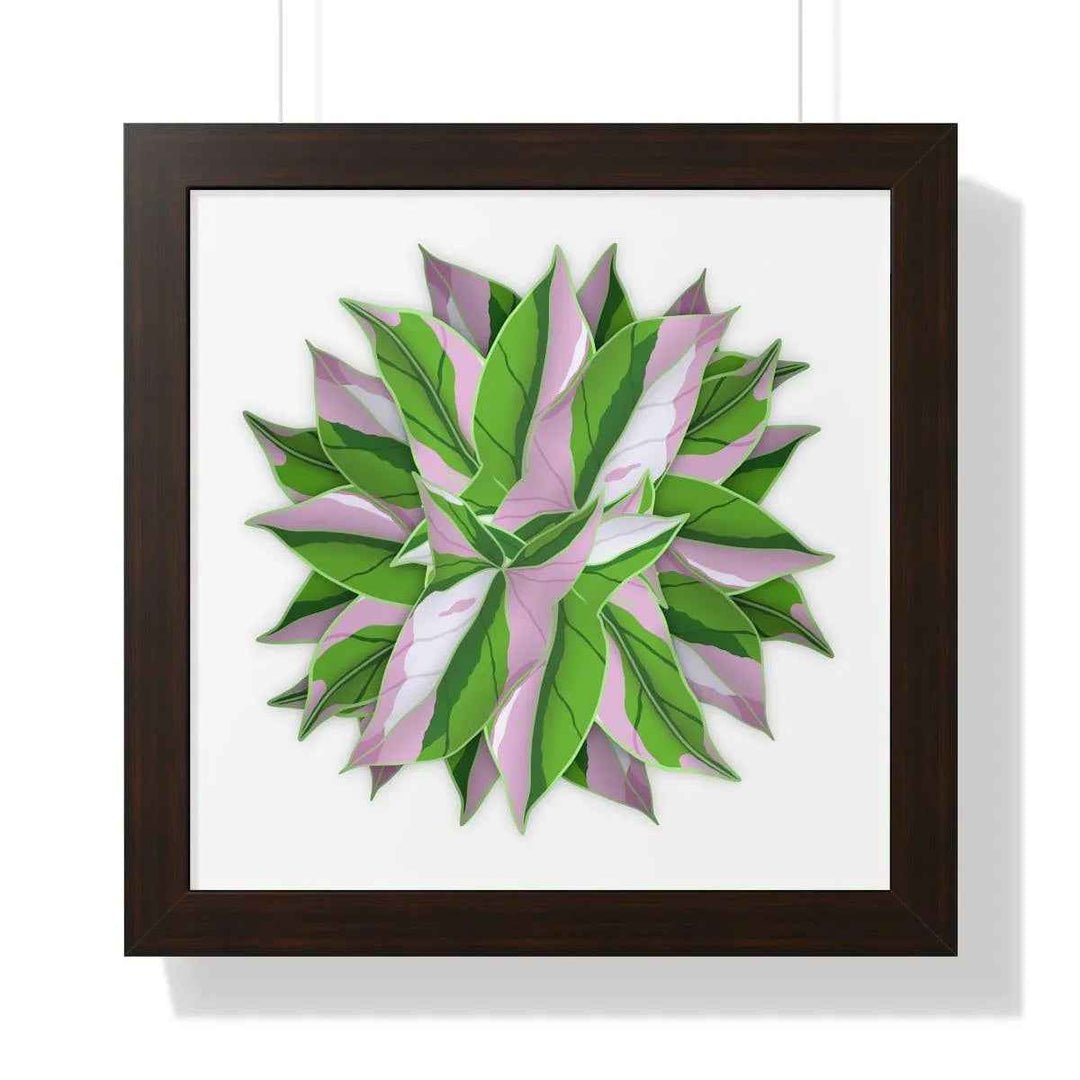 Syngonium Tricolor Print - Framed Botanical Art With Matte Finish & Acrylic Cover