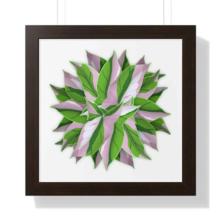Syngonium Tricolor Print - Framed Botanical Art With Matte Finish & Acrylic Cover
