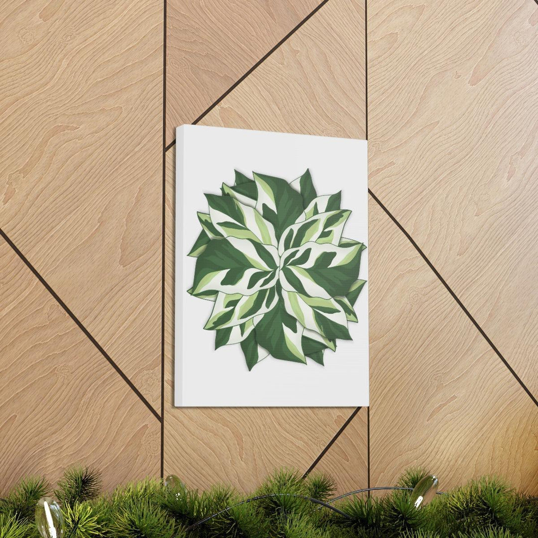 Calathea White Fusion Canvas | Indoor Wall Art - Matte Finish Botanical Canvas Art Print - Laura Christine Photography & Design