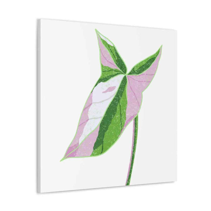 Syngonium Tricolor Canvas | Botanical Canvas Art Print With Matte Finish