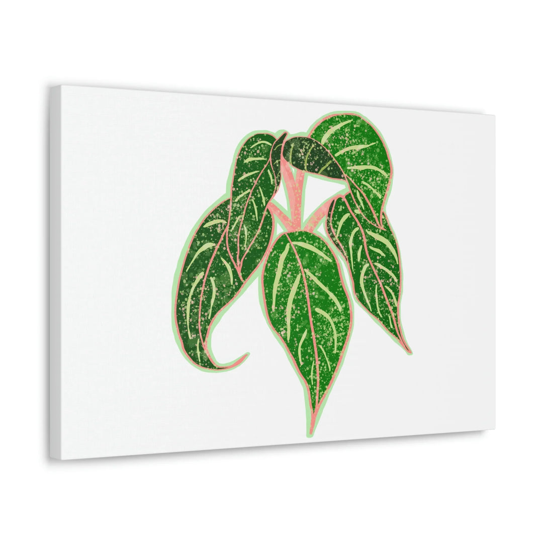 Aglaonema Plant Canvas | Sparkling Plant Artwork - Colorfast Canvas Art Print Decor