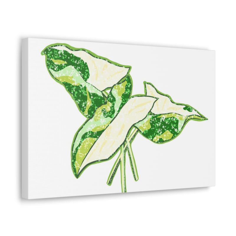 Marble Syngonium Canvas