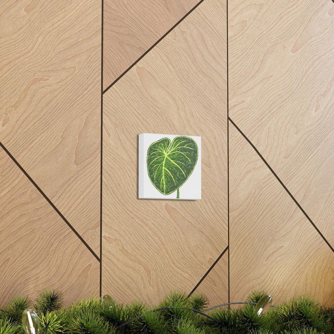 Philodendron Gloriosum Canvas - Stretched Canvas Art Print | Matte Indoor Wall Art - Laura Christine Photography & Design