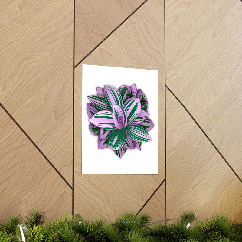 Tradescantia Nanouk Print