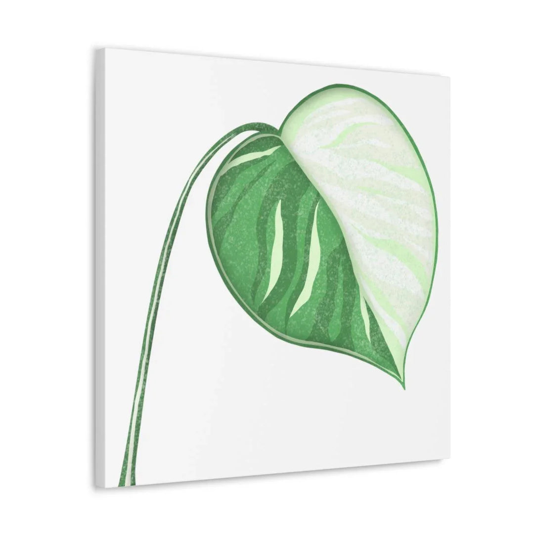 Monstera Albo Canvas | Large Tropical Leaf Artwork - Matte Finish Canvas Art Print - Laura Christine Photography & Design