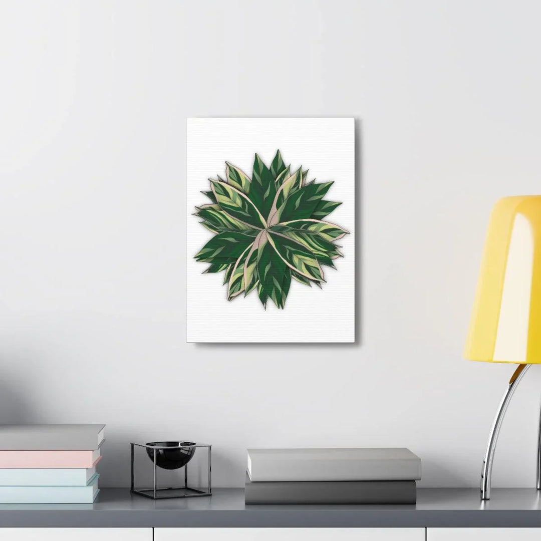 Stromanthe Triostar Canvas - Pastel Stripe Canvas Art Print With Vivid Color Artwork - Laura Christine Photography & Design