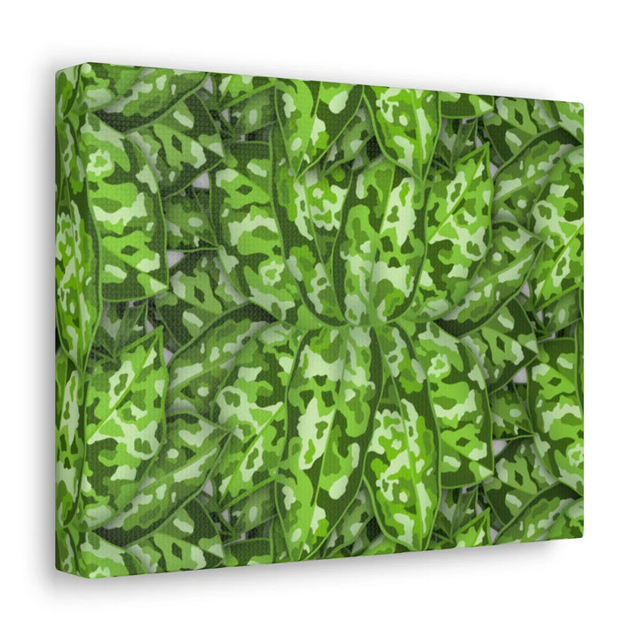 Aglaonema Pictum Canvas - Rare Camouflage Leaf Print Canvas Art Print