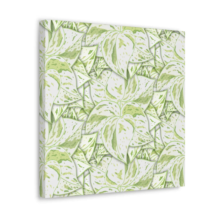 Snow Queen Pothos Canvas – Matte Finish Canvas Art Print | Variegated Botanical Wall Decor