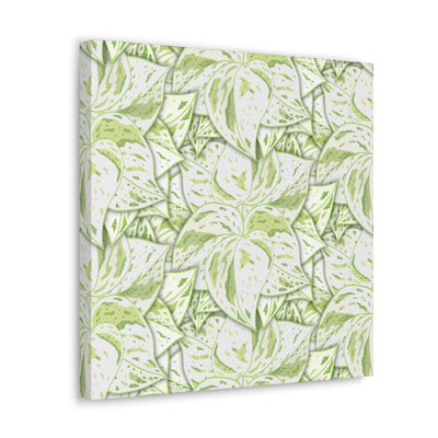 Snow Queen Pothos Canvas