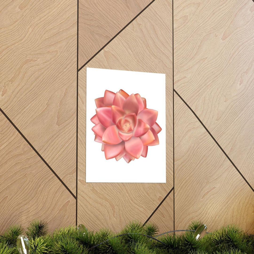 Graptosedum 'California Sunset'  Succulent Print, Poster, Laura Christine Photography & Design, Back to School, Home & Living, Indoor, Matte, Paper, Posters, Valentine's Day promotion, Laura Christine Photography & Design, laurachristinedesign.com