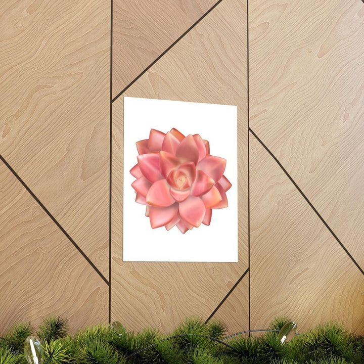 Graptosedum 'California Sunset'  Succulent Print, Poster, Laura Christine Photography & Design, Back to School, Home & Living, Indoor, Matte, Paper, Posters, Valentine's Day promotion, Laura Christine Photography & Design, laurachristinedesign.com