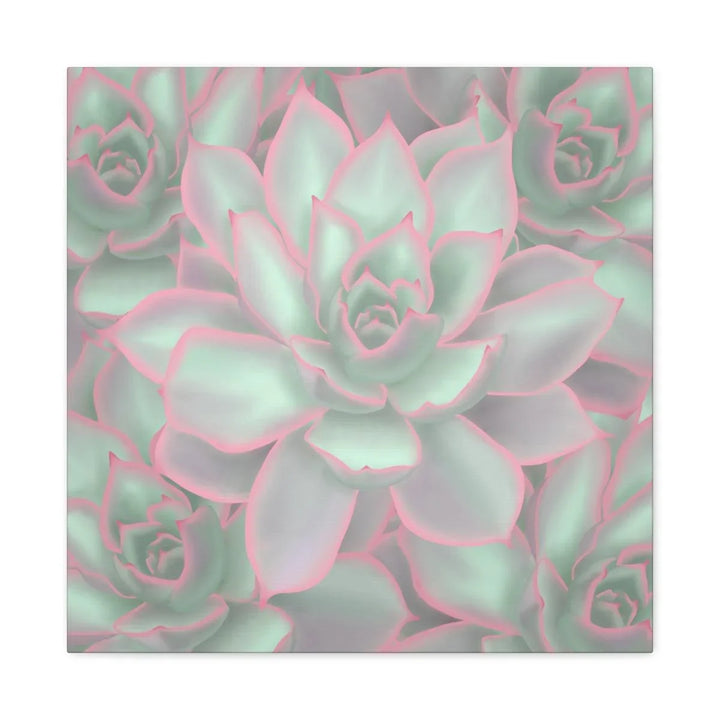 Echeveria Violet Queen Succulent Canvas, Canvas, Laura Christine Photography & Design, Art & Wall Decor, Canvas, Hanging Hardware, Home & Living, Indoor, Laura Christine Photography & Design, laurachristinedesign.com