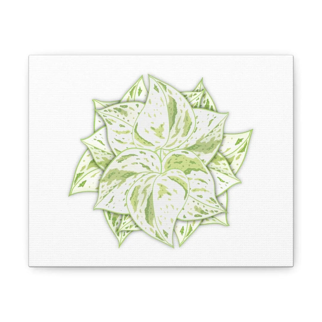 Snow Queen Pothos Canvas – Variegated Leaf Canvas Art Print | Durable Cotton - Laura Christine Photography & Design