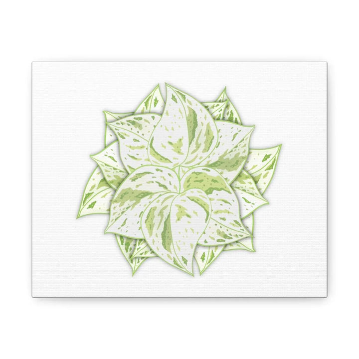 Snow Queen Pothos Canvas – Variegated Leaf Canvas Art Print | Durable Cotton - Laura Christine Photography & Design