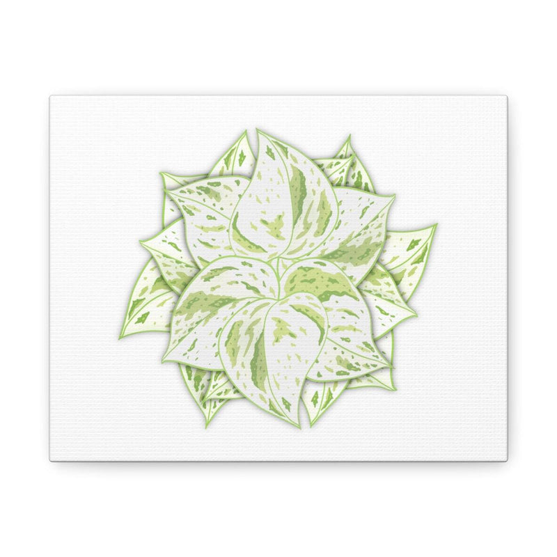 Snow Queen Pothos Canvas, Canvas, Laura Christine Photography & Design, Art & Wall Decor, Canvas, Hanging Hardware, Home & Living, Indoor, Laura Christine Photography & Design, 