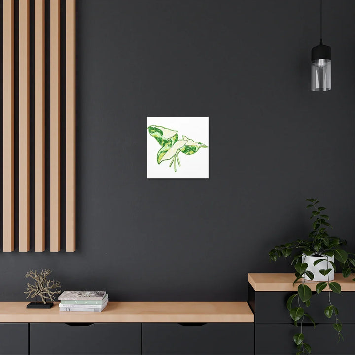 Marble Syngonium Canvas - Botanical Canvas Art Print | Durable Cotton Matte Finish - Laura Christine Photography & Design