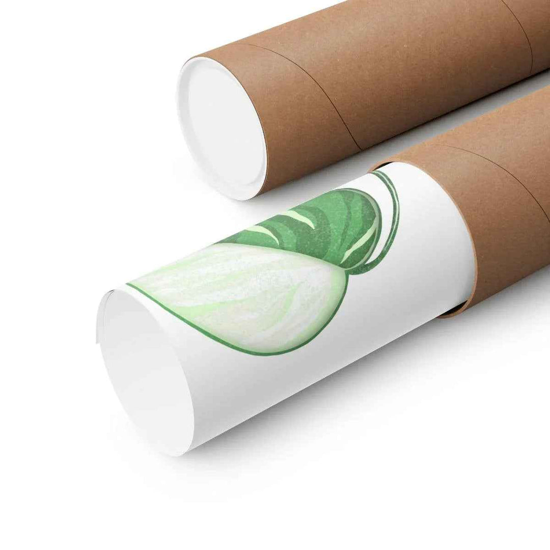 Monstera Albo Print – Large Tropical Leaf Poster | Museum Grade Paper Artwork Unframed