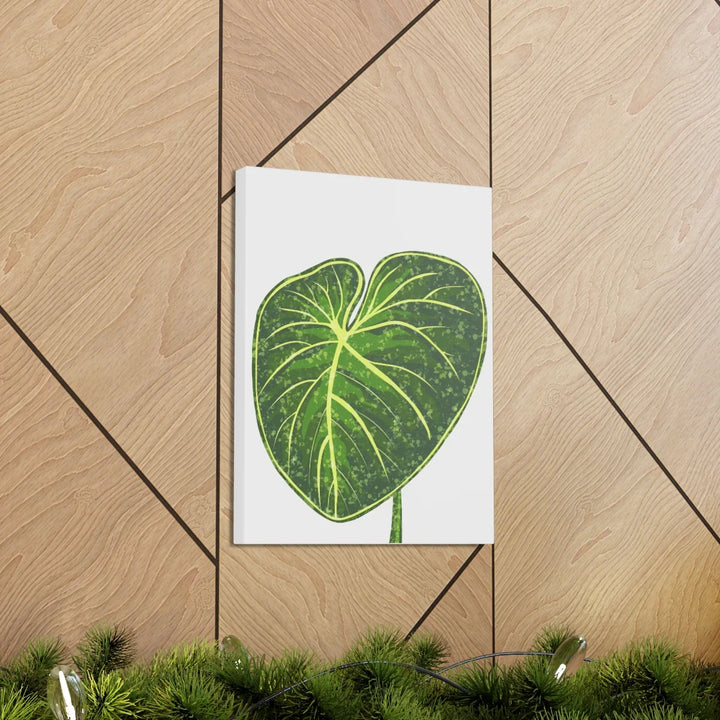 Philodendron Gloriosum Canvas - Stretched Canvas Art Print | Matte Indoor Wall Art - Laura Christine Photography & Design