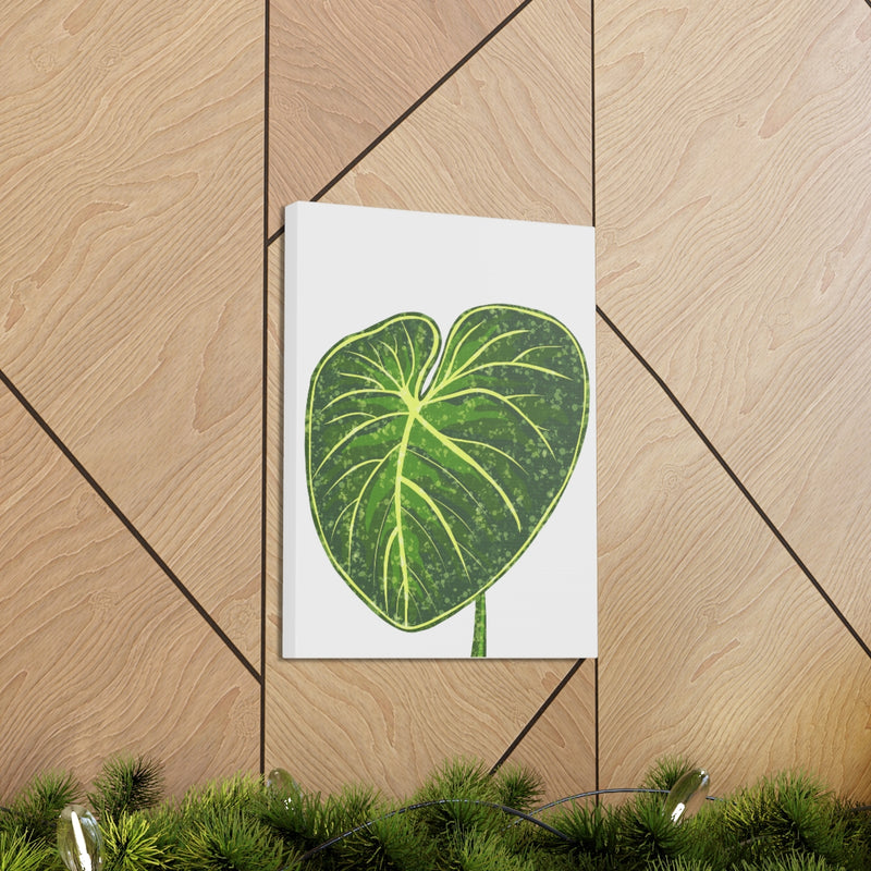 Philodendron Gloriosum Canvas