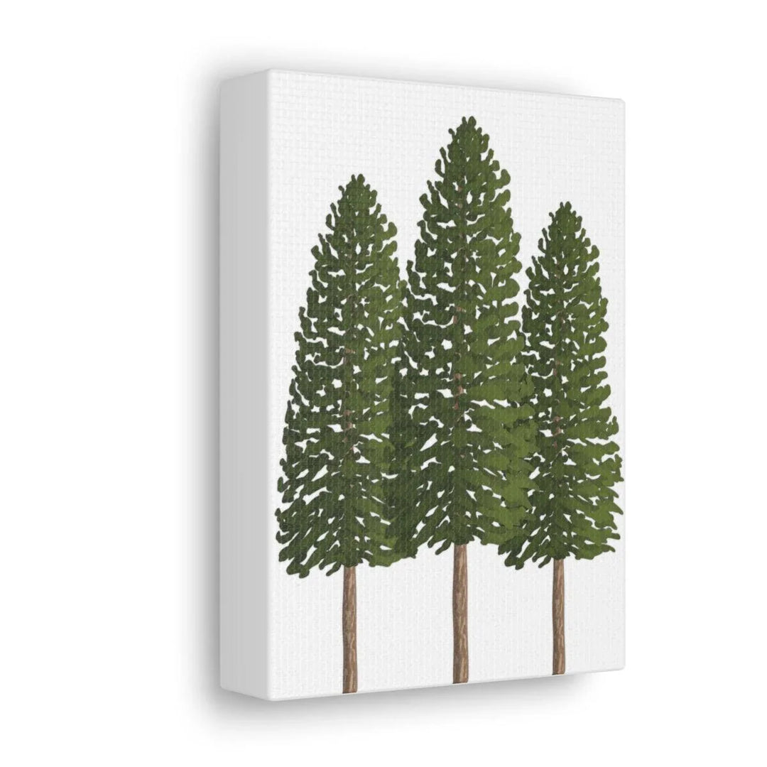 Ponderosa Pine Canvas, Canvas, Laura Christine Photography & Design, Art & Wall Decor, Canvas, Hanging Hardware, Home & Living, Indoor, Laura Christine Photography & Design, laurachristinedesign.com