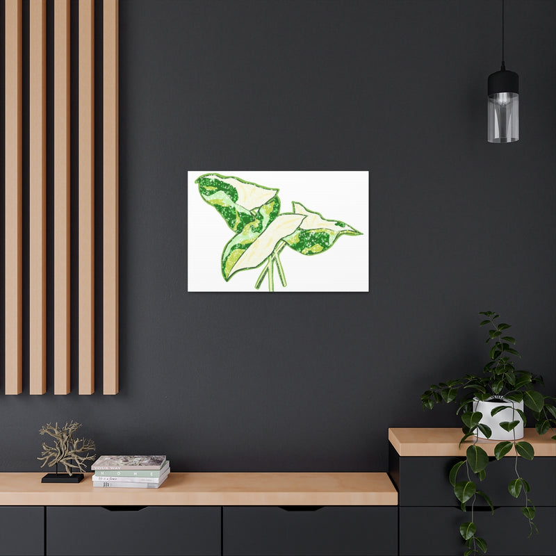 Marble Syngonium Canvas