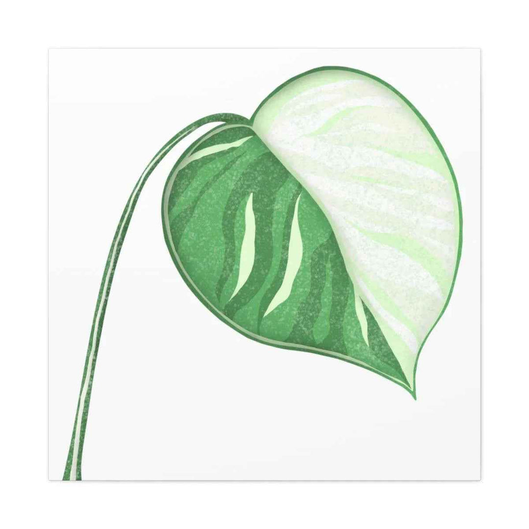 Monstera Albo Canvas | Large Tropical Leaf Artwork - Matte Finish Canvas Art Print
