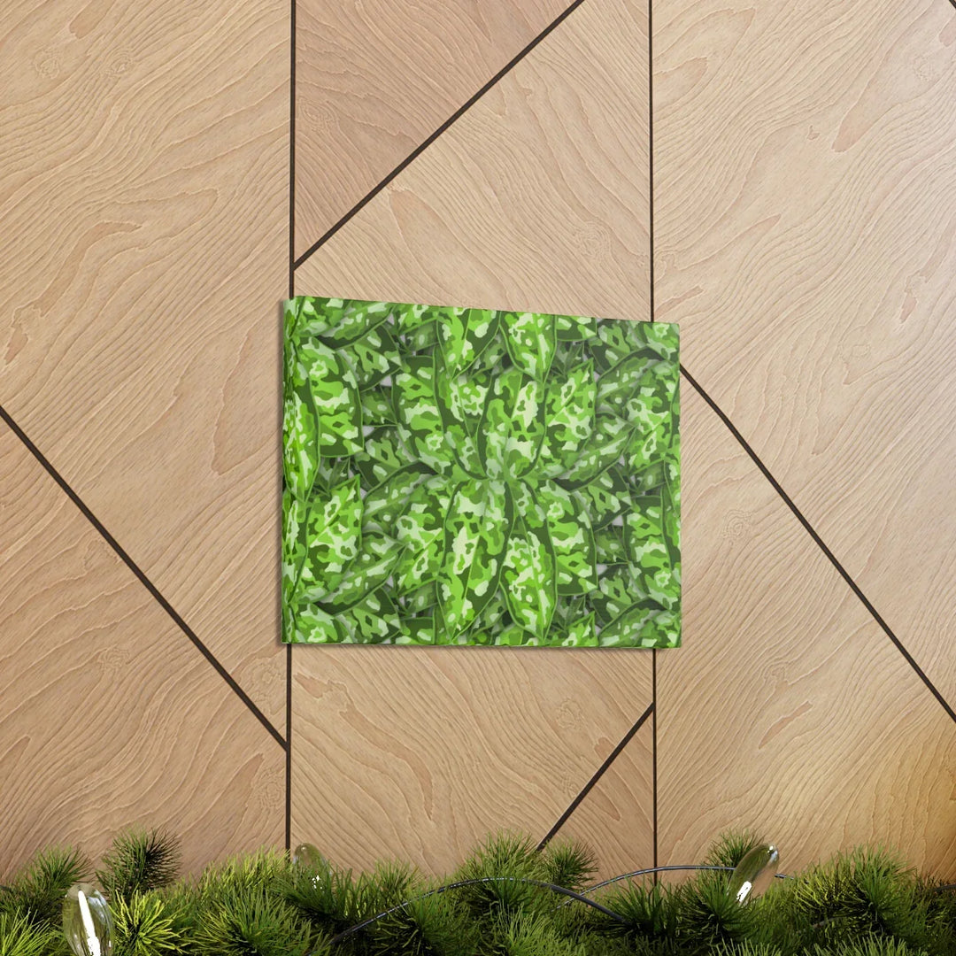 Aglaonema Pictum Canvas - Rare Camouflage Leaf Print Canvas Art Print