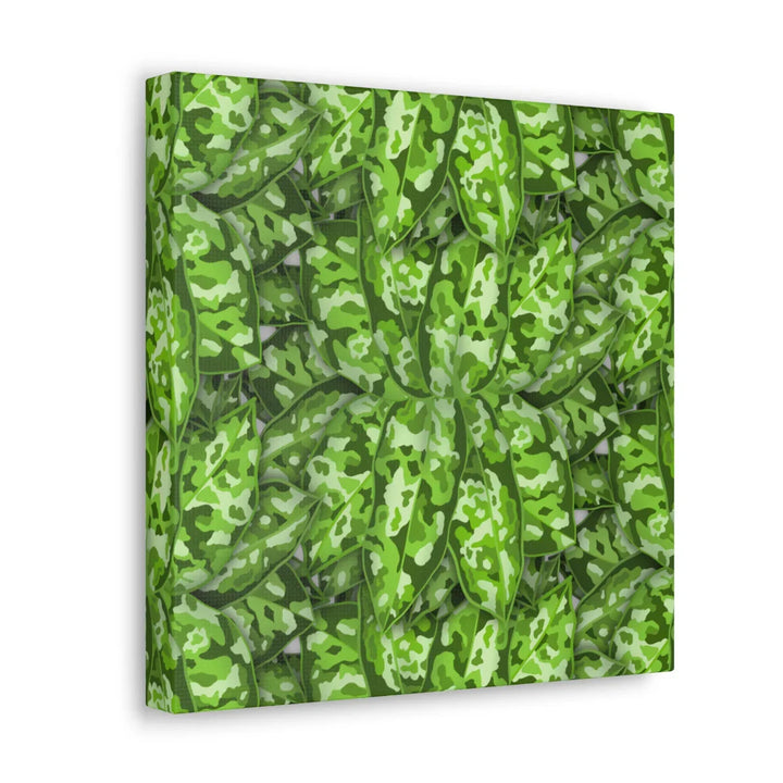 Aglaonema Pictum Canvas - Rare Camouflage Leaf Print Canvas Art Print
