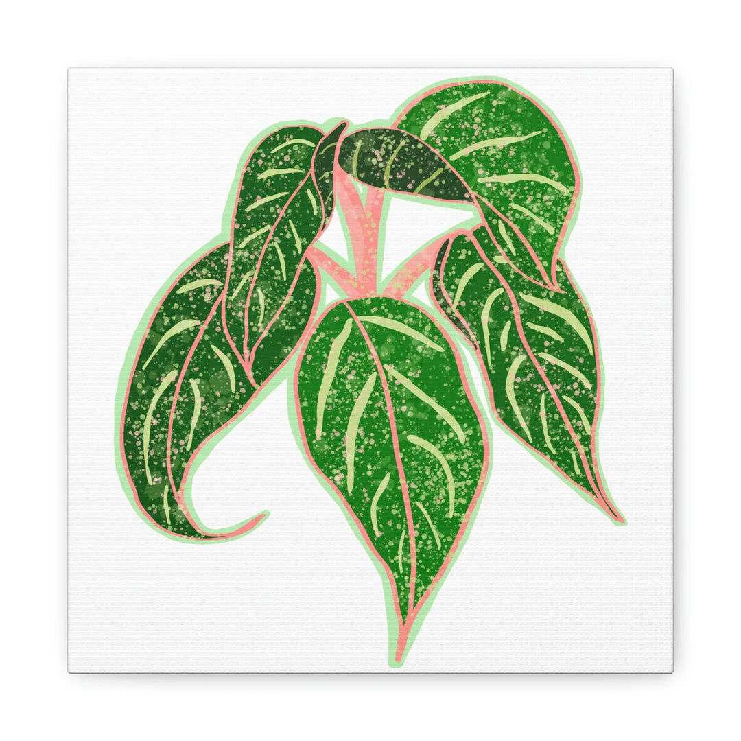 Aglaonema Plant Canvas | Sparkling Plant Artwork - Colorfast Canvas Art Print Decor
