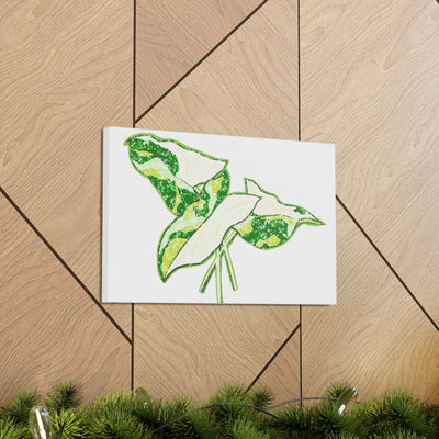 Marble Syngonium Canvas