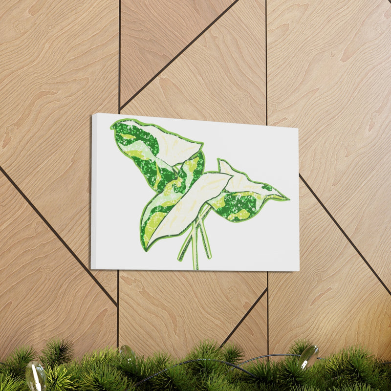 Marble Syngonium Canvas