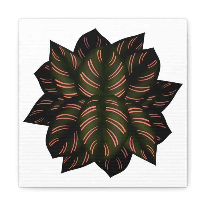 Calathea Pinstripe Canvas – Botanical Canvas Art Print | Matte Finish Wall Decor