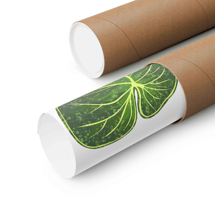 Philodendron Gloriosum Print Botanical Wall Art – Tropical Leaf Poster on Museum-Grade Paper Unframed