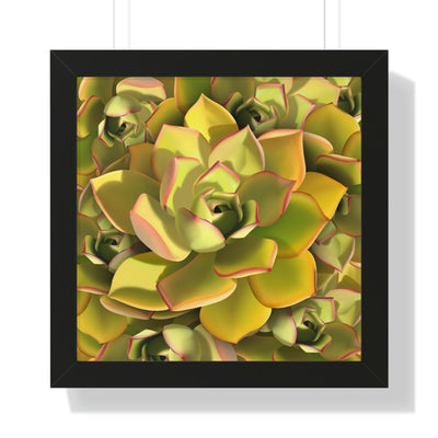 Noble Aeonium Succulent Pattern Framed Print, Poster, Printify, Framed, Home & Living, Indoor, Paper, Posters, Laura Christine Photography & Design, laurachristinedesign.com