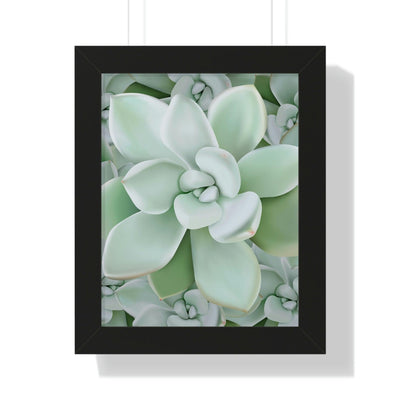 Pachyveria Haagei Succulent Pattern Framed Print, Poster, Printify, Framed, Home & Living, Indoor, Paper, Posters, Laura Christine Photography & Design, laurachristinedesign.com