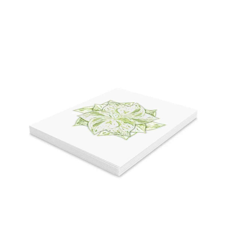 Snow Queen Greeting Card – Pothos Variegated Plant Design on Robust Cardstock