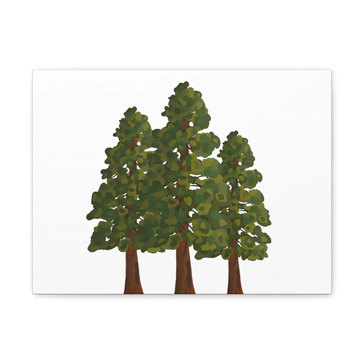 Coastal Redwoods Canvas - Stretched Cotton Canvas Art Print | Matte Finish Wall Hanging Artwork
