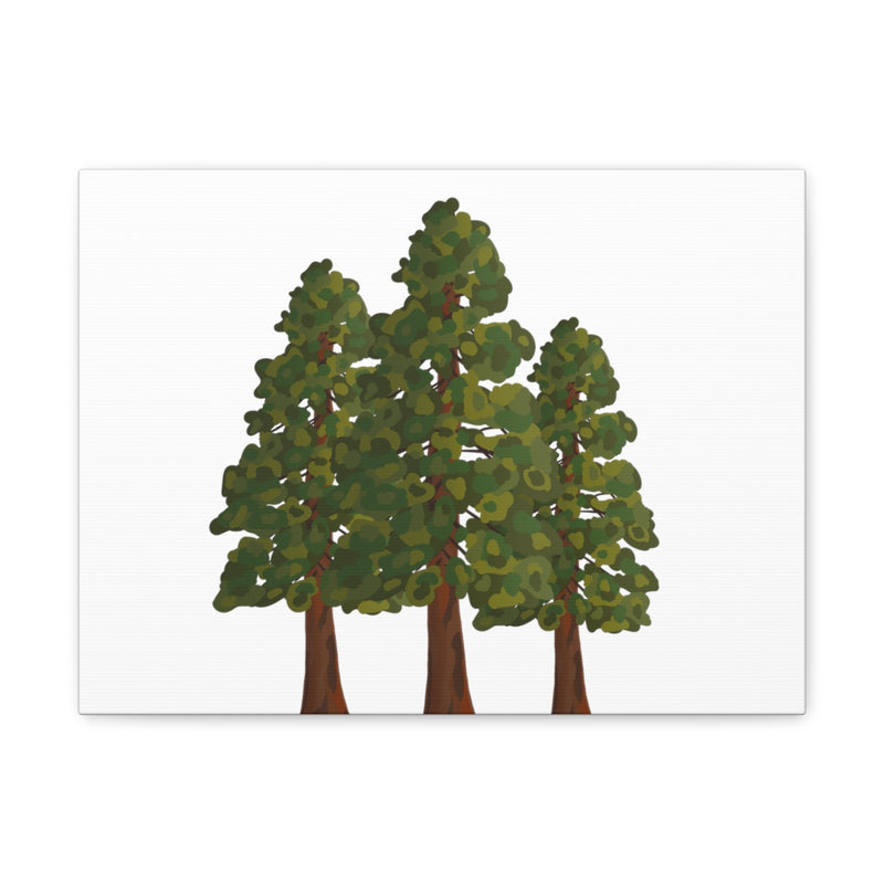 Coastal Redwoods Canvas