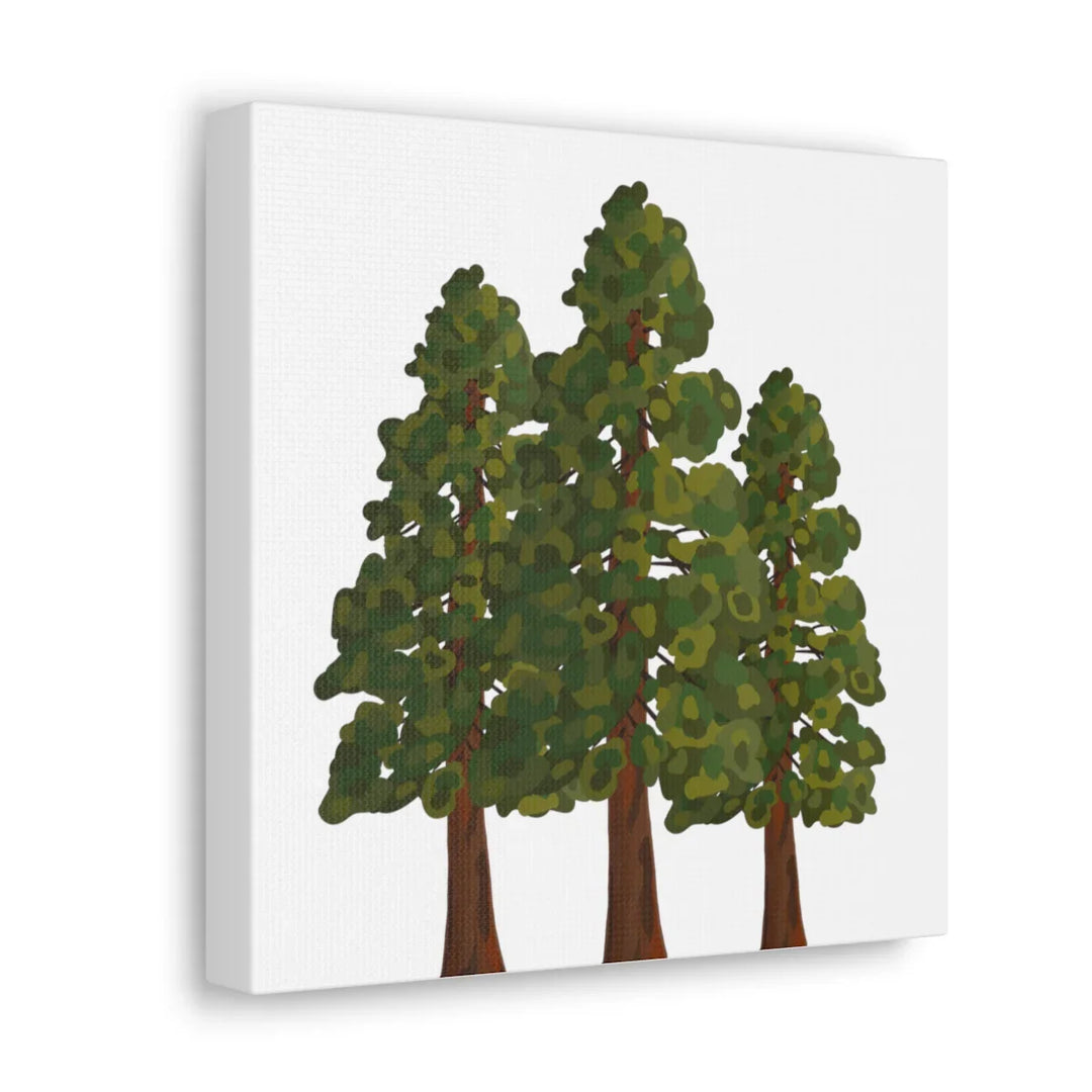 Coastal Redwoods Canvas - Stretched Cotton Canvas Art Print | Matte Finish Wall Hanging Artwork