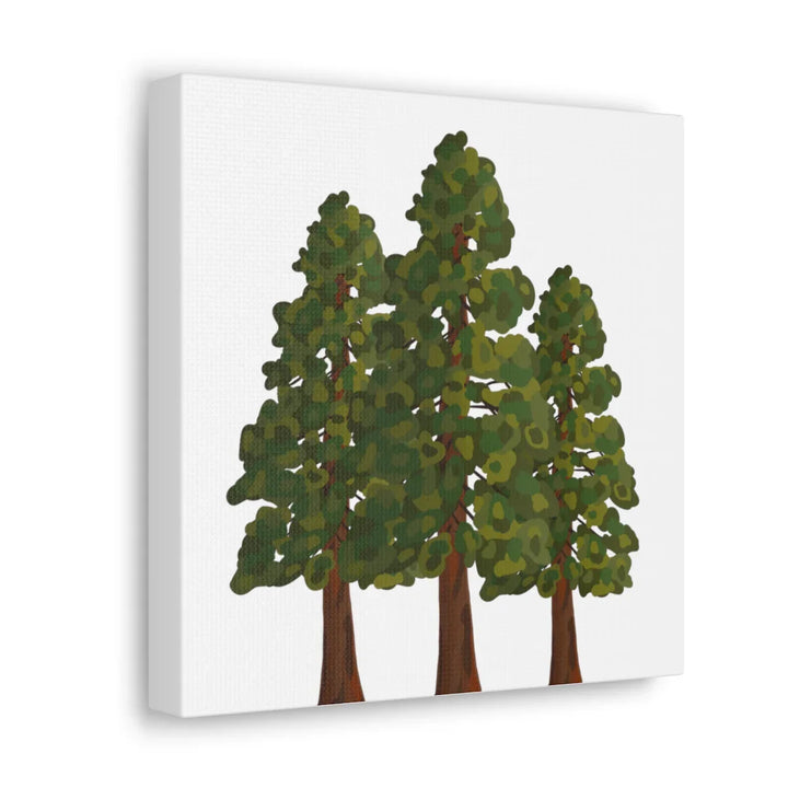 Coastal Redwoods Canvas - Stretched Cotton Canvas Art Print | Matte Finish Wall Hanging Artwork