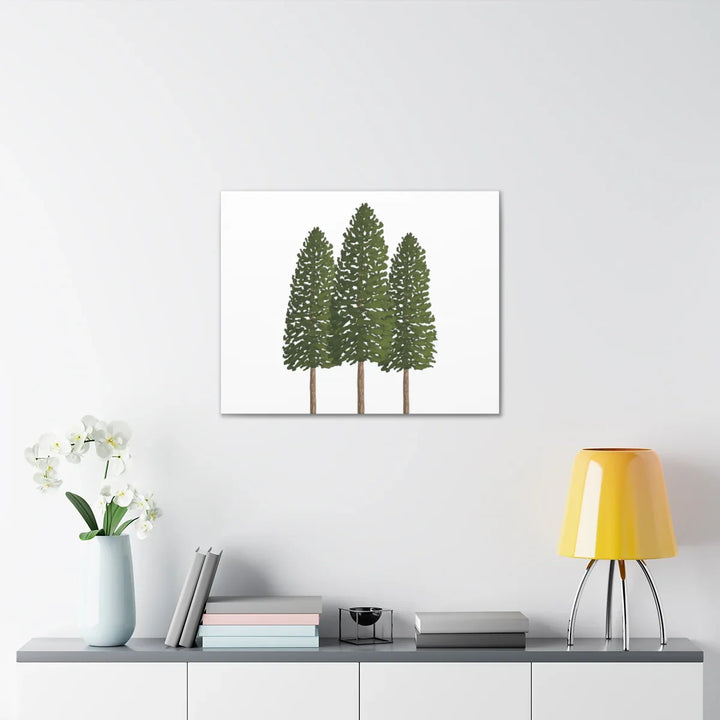 Ponderosa Pine Canvas - Large Stretched Cotton Canvas Art Print With Matte Finish