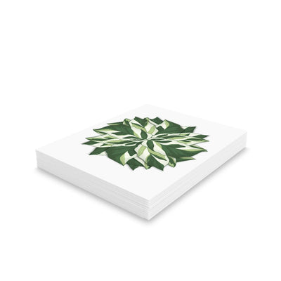 Calathea White Fusion Greeting Card, Paper products, Laura Christine Photography & Design, Calathea, Gift, Greeting Card, Holiday Picks, Home & Living, House Plant, Illustration, Indoor Plant, Note Card, Office Supplies, Paper, Plant, Post Card, Postcard, Postcards, Prayer Plant, Stationery, White Fusion, Laura Christine Photography & Design, laurachristinedesign.com