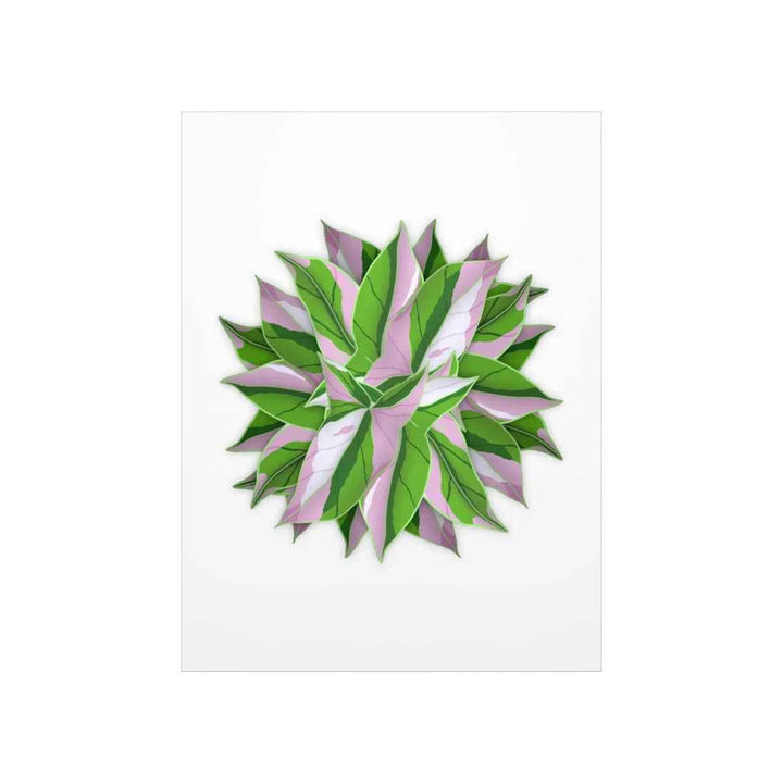 Tricolor Syngonium Print - Botanical Poster on Museum Grade Paper | Archival Ink Unframed