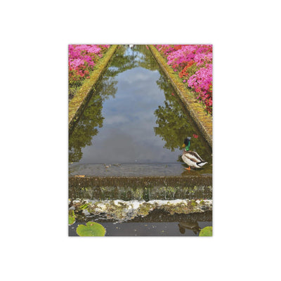 Duck at the tulip garden - Photo Poster, Poster, Printify, Art & Wall Decor, Home & Living, Paper, Poster, Posters, Laura Christine Photography & Design, laurachristinedesign.com