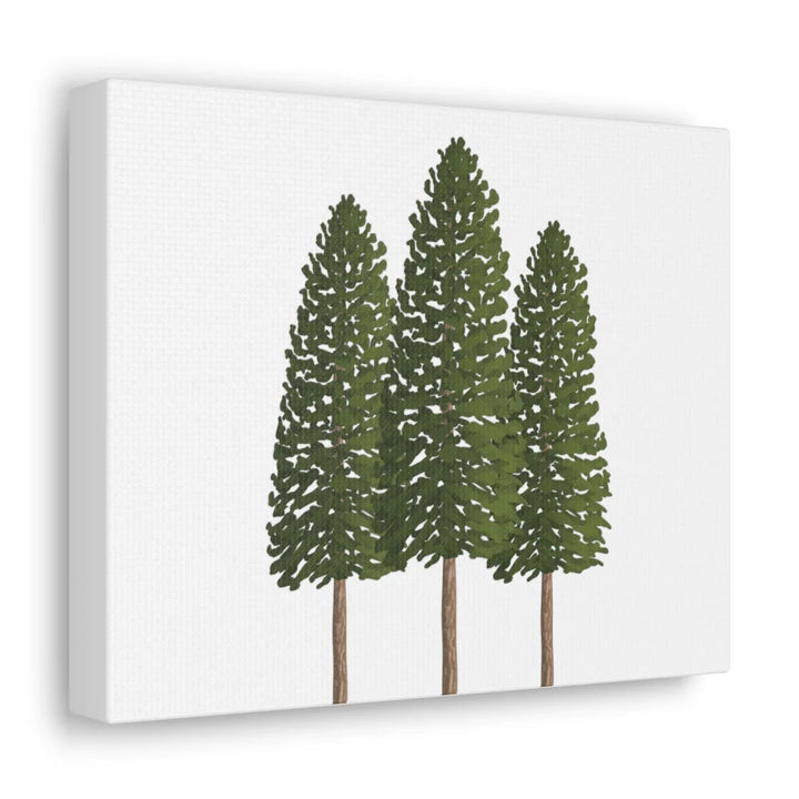 Ponderosa Pine Canvas - Large Stretched Cotton Canvas Art Print With Matte Finish