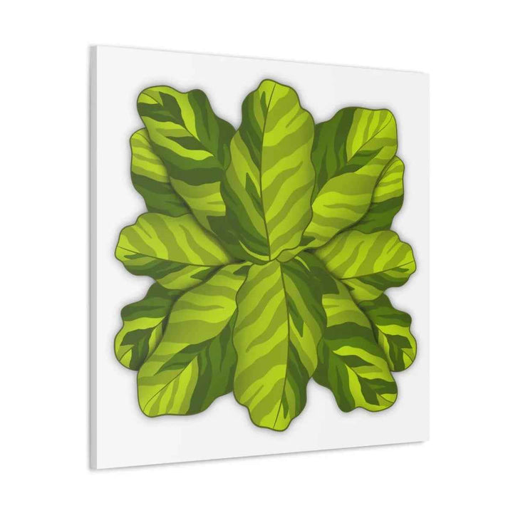 Calathea Yellow Fusion Canvas – Botanical Canvas Print With Unique Leaf Pattern Art