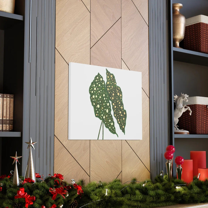 Begonia Maculata Canvas | Premium Canvas Art Print - Matte Finish, Durable Wall Decor - Laura Christine Photography & Design