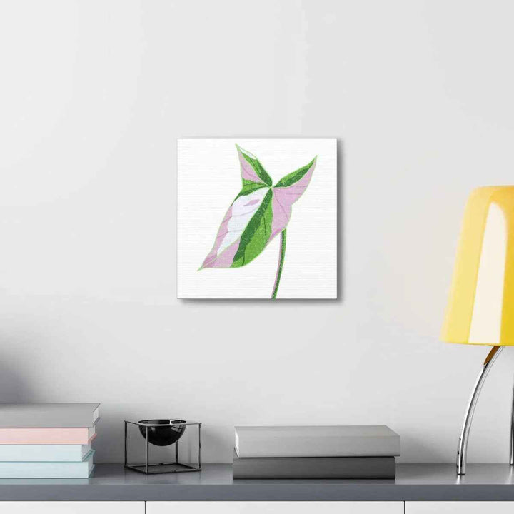 Syngonium Tricolor Canvas | Botanical Canvas Art Print With Matte Finish